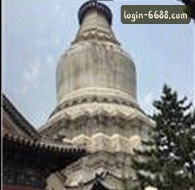 郑丽